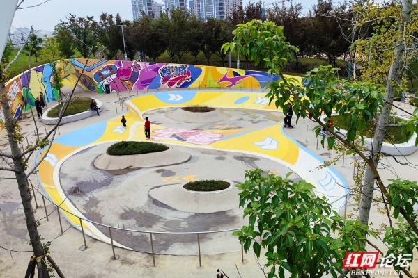 每一片叶子，都是大地写就的诗行——向野而生的大泽湖湿地公园