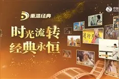 光影寄情历史 文化瑰宝润心图片