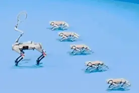 火到出圈儿的“亚运机器狗”其实不只会运铁饼图片