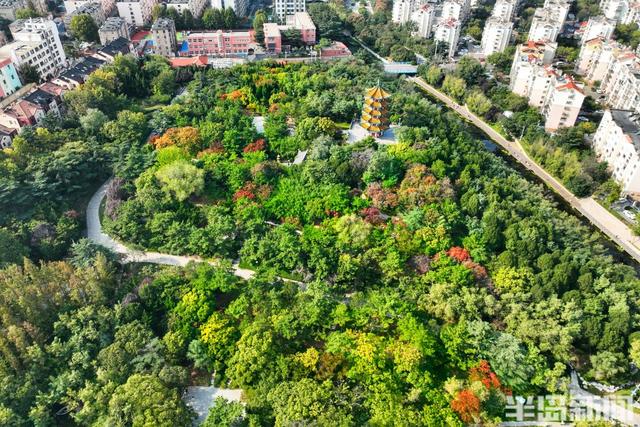 金秋斑斓 公园如画