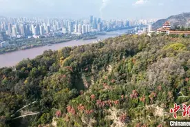 甘肃兰州：黄河两岸秋色正浓图片