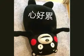 货车安装“翻牌器”，9分没了！图片