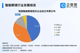“会提词”的AI眼镜火了 超八成智能眼镜企业成立超5年图片
