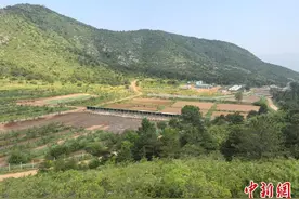 民营企业进京郊 唤醒乡村“沉睡资产”——北京市工商联“万企兴万村”京郊行助力农文旅融合图片