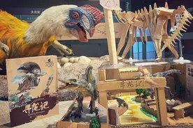 上海自然博物馆十周年重磅活动“中国恐龙大展”将开幕图片