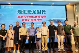 近160年首次发现！松江11岁少年在江苏宁镇山脉敲出海生爬行动物化石图片