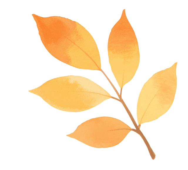 三明上榜“2025年中国康养城市排行榜百强”，邀您来解锁一场自然疗愈之旅～