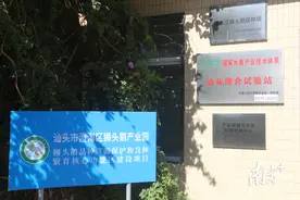公示中！汕头狮头鹅资源保护开发获省级专项资金支持图片