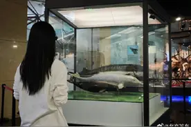 国家动物博物馆本周六日可半价参观，部分人群还可免票图片