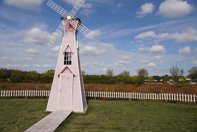 耶~DuangDuang的20亩地肤超出片！