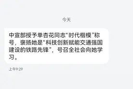 收到短信了！单杏花是谁？要从12306说起图片