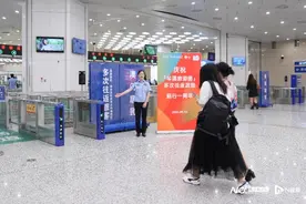 “琴澳旅游团”政策实施一周年，一年迎客12万图片