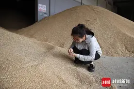 96年姑娘成为新农人：在合作社当起了“大总管”丨天府良田里的年轻人图片