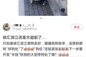 上海网红景点现“停狗处”？但也有人担心……图片