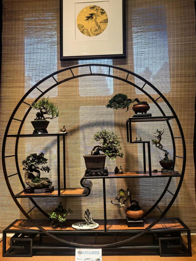 晚潮｜郭庄听雨