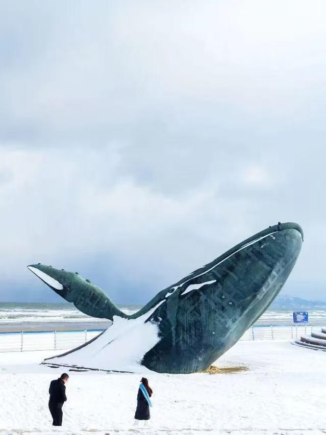 天与海之间的温热休止符：在烟台，泡着温泉看大海