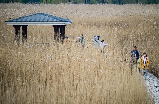 初冬园博园，周末好时光