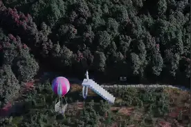 雅安市名山区：不负春光好时景 蒙顶千亩山茶花争奇斗艳竞吐蕊！图片