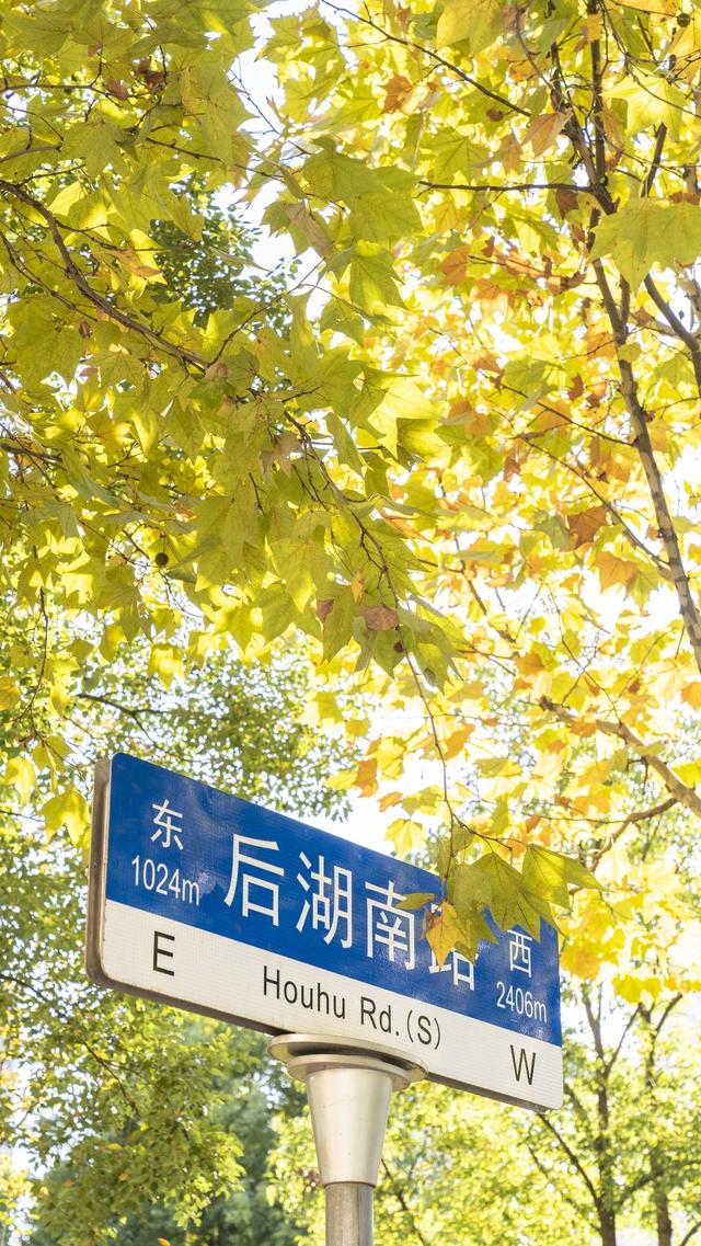 汉广海棠公园：闻着花香与草木气息