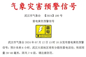 武汉：暴雨雷电+9级大风！下班早点回家图片