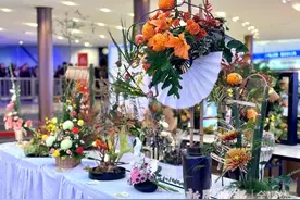 用插花表现东方明珠，上海市民海派插花花艺大赛落幕，今年参与人数创新高图片