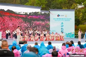 2025年桃花源文化旅游节暨“桃花源式待客之道”活动月启幕图片