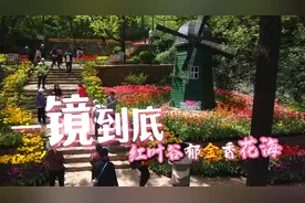 春日正好，莫负花期！一镜到底感受红叶谷的“花漾年华”图片