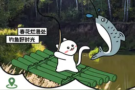 活动预告丨周末来青村约一场户外小物钓，不负好春光图片