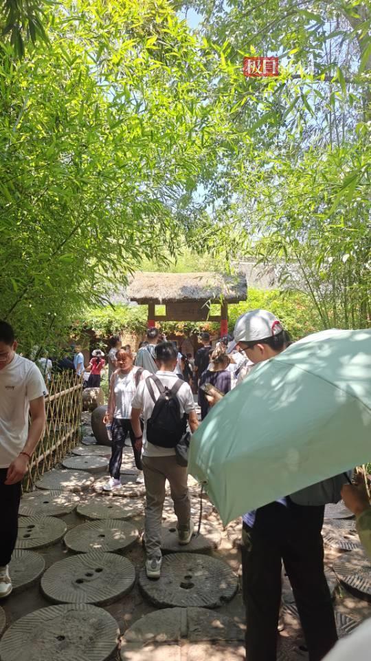 实探印乐大师任20年方丈的白马寺：基本无商业元素，每天免费供应60余桶水，游客在茶舍大排长龙