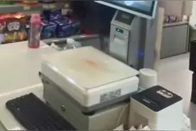 广东肇庆一鸵鸟在马路上奔跑，林业局：养殖场跑出，已抓回图片