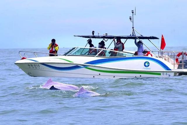 2025年钦州蚝情节福利时刻来啦！