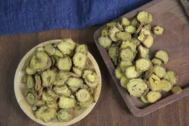 瑞龙中药大讲堂｜河南道地药材黄芩图片