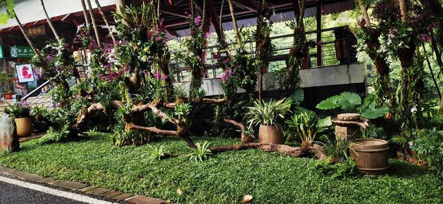 广州南沙披上“繁花盛装”，扮靓绿美全运画卷