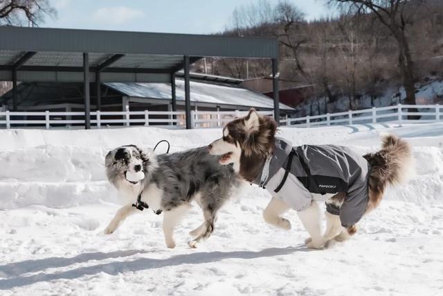 阿那亚·崇礼点亮冰雪童话季，"MORE THAN SKI"构建全龄友好度假新地标