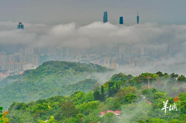 “云山叠翠”杯大学生征文活动开启！快来分享你和白云山的故事