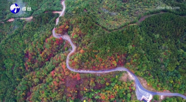 惊艳！六安这里美如画！