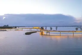 人与自然和谐共生——上海打造平原河网地区高品质生态清洁小流域建设样板图片