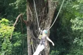 提醒：泰国特色旅游项目突发意外致一死一伤图片