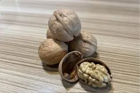 高质量发展调研行∣阿克苏的核桃熟了——摘收“致富果”正当时图片