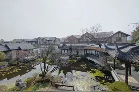 桃花源别墅1.9亿元成交，外省老板来买钱江新城的资产！图片