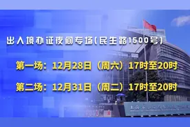 如期返场！上海市出入境元旦前加开两场夜间办证专场→图片