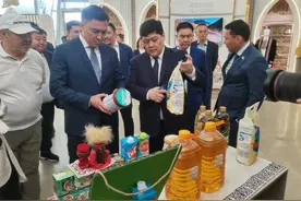 携友城之手 走共赢之路——哈萨克斯坦奇姆肯特市代表团访问西安侧记图片