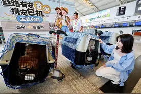 又一航司推出宠物包机航班，“铲屎官”们距离携宠出行自由还有多远？图片