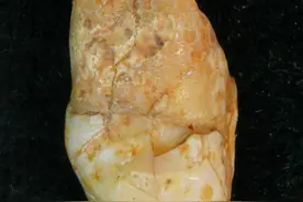 最新公布，杭州宝贝！图片