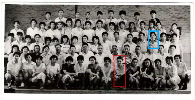 “何晴告别仪式”不公开对外吊唁，好友透露：她罹患脑瘤还中风，本想跟李雪健一样，战胜病魔，走回舞台