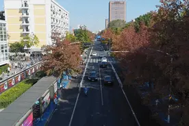 一年一约，杭州最美枫香大道上线了，今年有新变化图片
