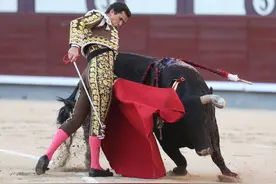 （外代一线）西班牙：斗牛表演图片