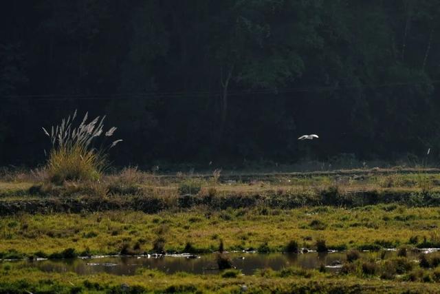 周末露营天花板，来福安“野” 一天！