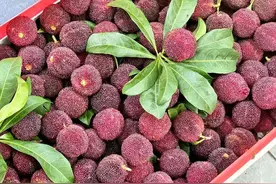 杨梅难敌“暴力梅”，价格口感有什么变化？图片