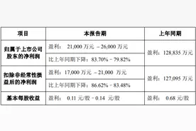 六氟磷酸锂价格还在探底，天赐材料上半年净利预降约八成图片